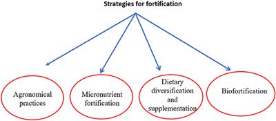 Transgenic Crops for Biofortification